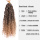 Curly River Faux Locs Synthetic Crochet Braids Hair